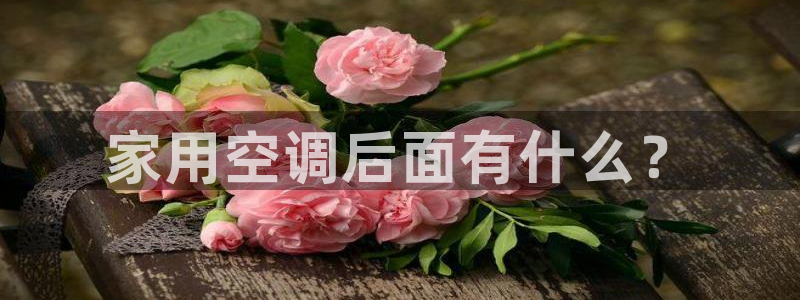 环球360假线