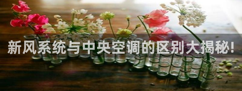 菲律宾环球360官网下载
