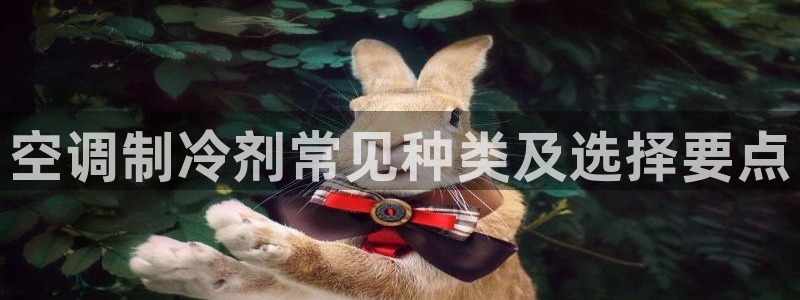 环球360会员登录官网