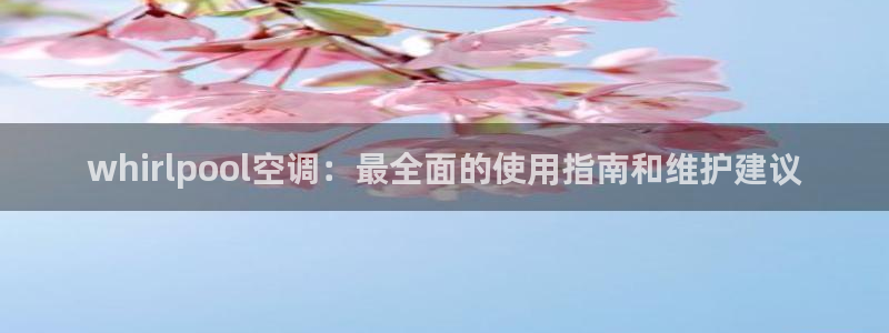 菲律宾环球360平台有假吗