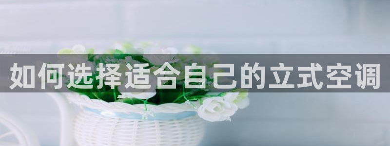 菲律宾环球360管理