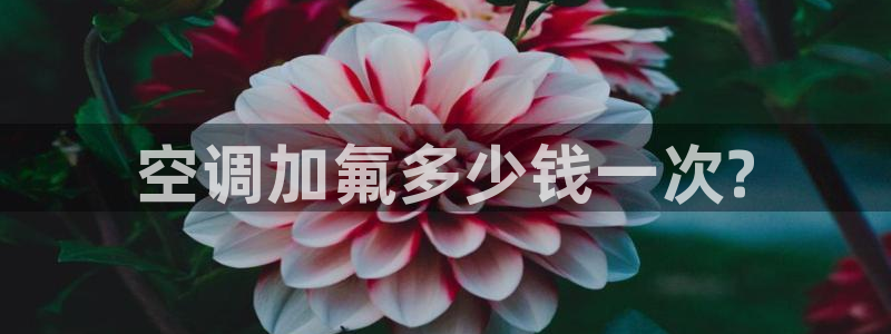 环球360节目