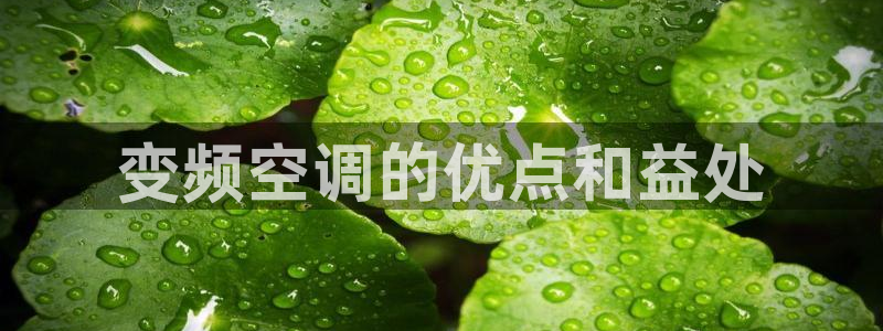 环球360官网会员注册流程视频