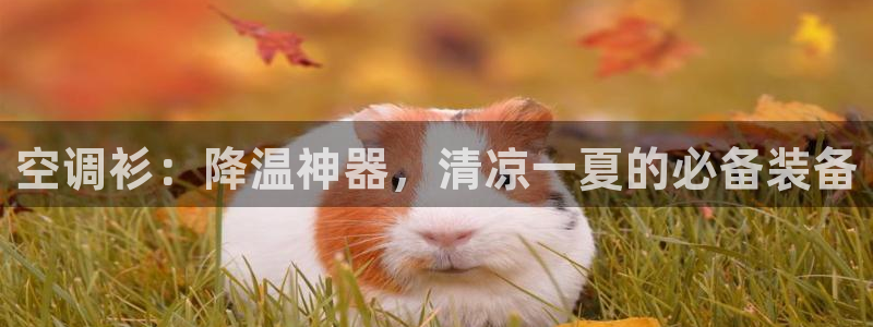 环球360免费版