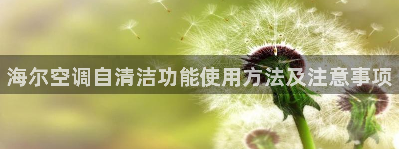 环球360娱乐会员注册