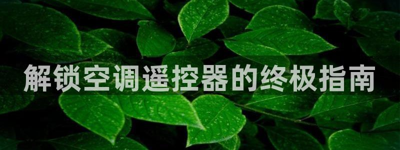 环球360官网会员注册不了怎么回事