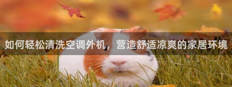环球360飞机视频播放