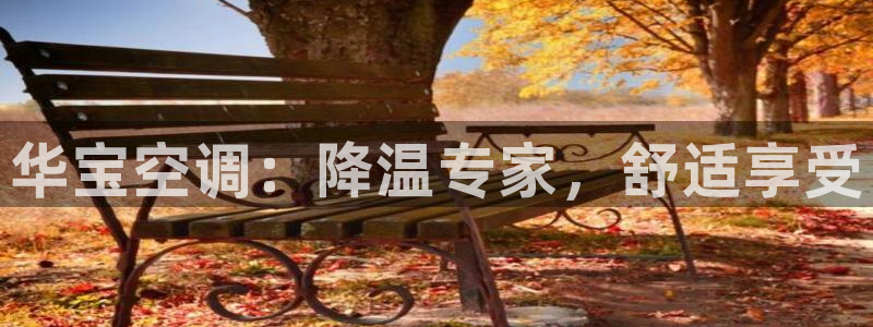 环球360官网会员登录入口