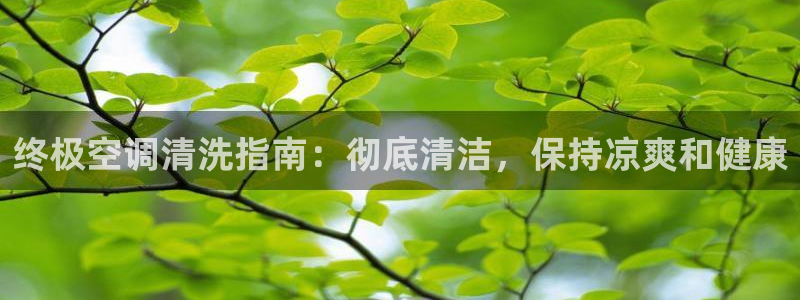 环球360游戏在线注册