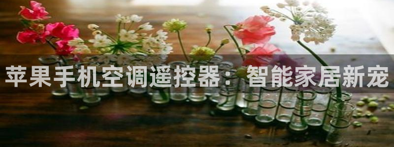 环球360APp