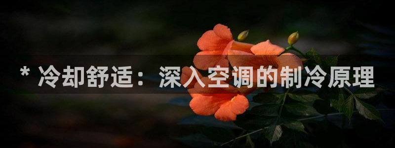 环球360假线
