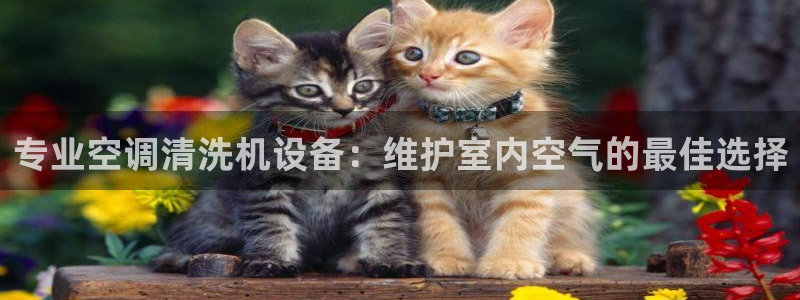 环球360如何买分