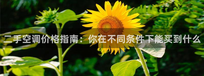 环球360官网登录页面打不开