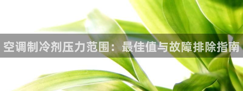 环球360官网手机版下载安卓版