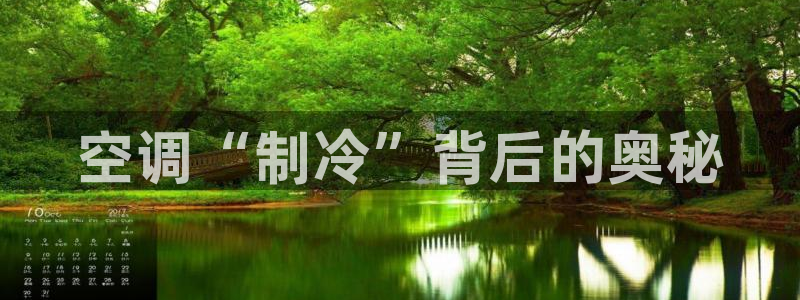 环球360这个娱乐网怎么样