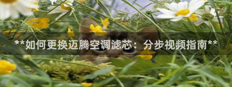 环球360假网假线包杀一比一