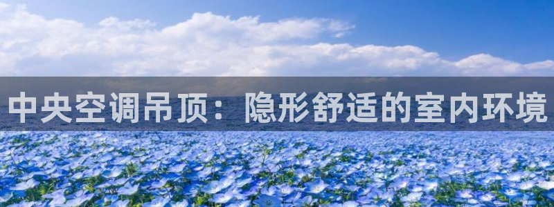 环球360买分包杀