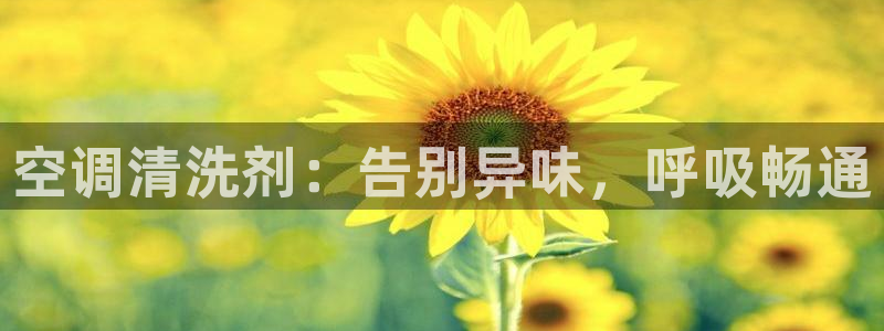 环球360历年片头