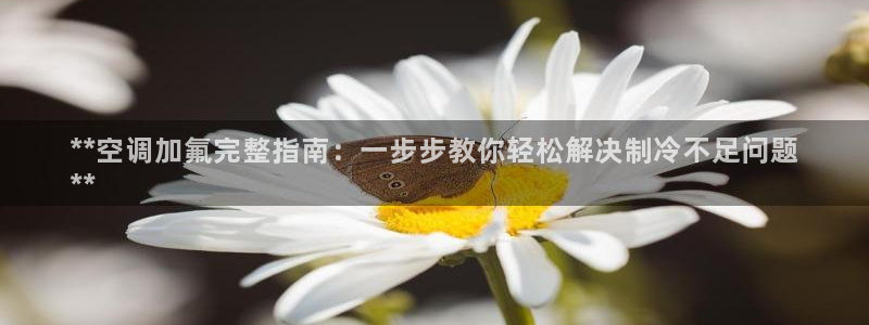 环球360官网入口下载