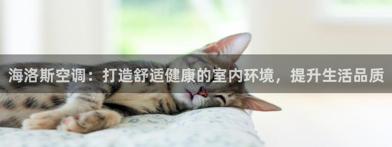 环球360网站试玩
