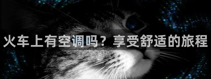环球360假线一比一