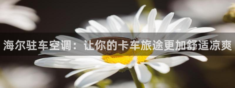 菲律宾环球360官网