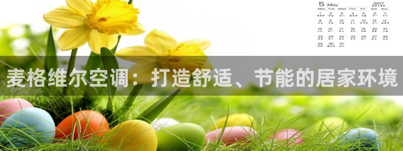 环球360这个娱乐网怎么样