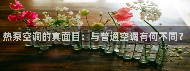 菲律宾环球360是什么