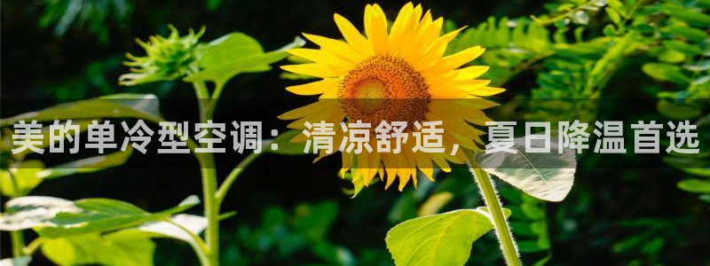 环球360管理网网址