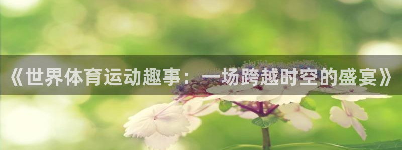 77体育