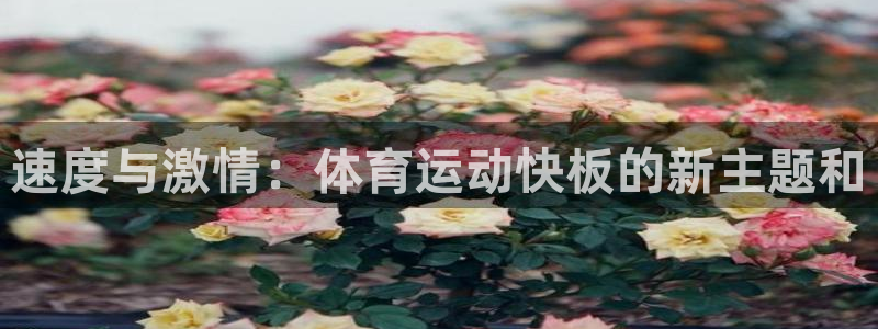 77体育app下载官网