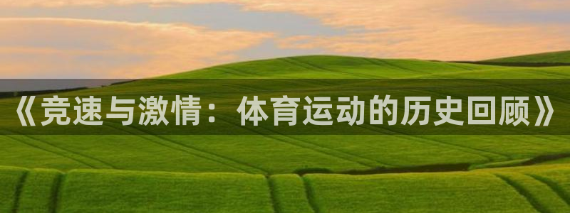 77体育官网