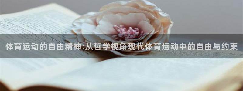 77体育app下载官网