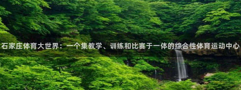 77体育app下载官网
