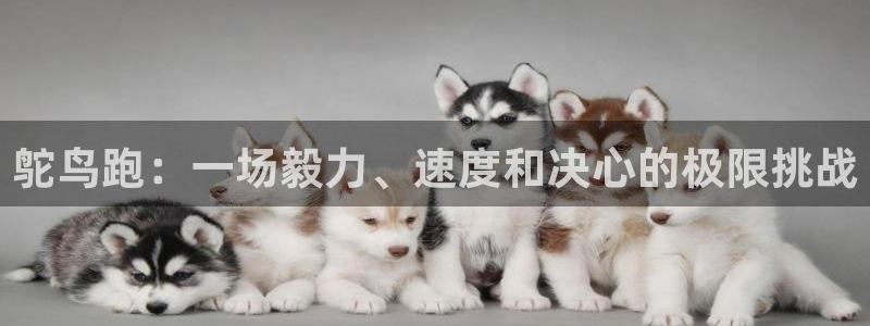 77体育官网
