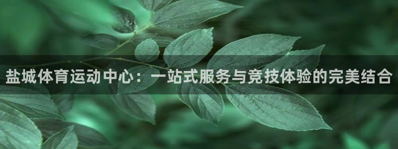 77体育官网