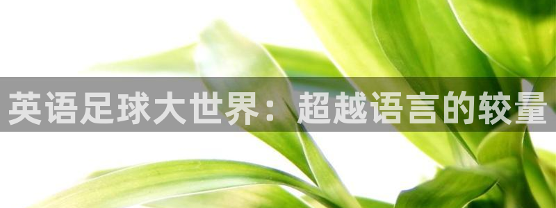 皇冠277体育