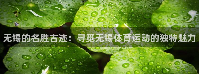 77体育