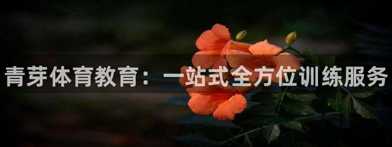 77体育app下载官网