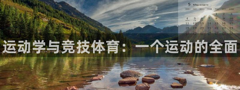 77体育app下载官网