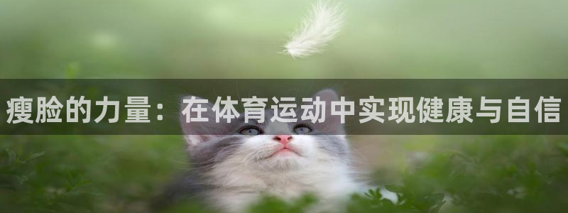77体育app下载官网