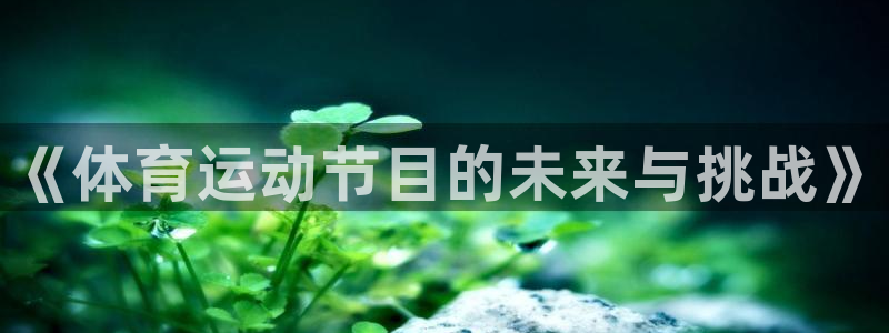 77体育app下载官网