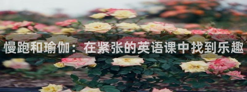 77体育官网