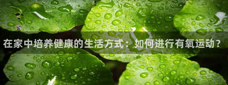 77体育官网