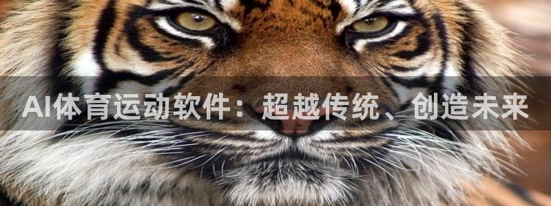 77体育官网