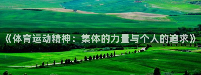 77体育