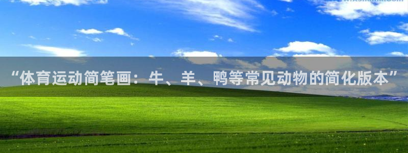 77体育官网
