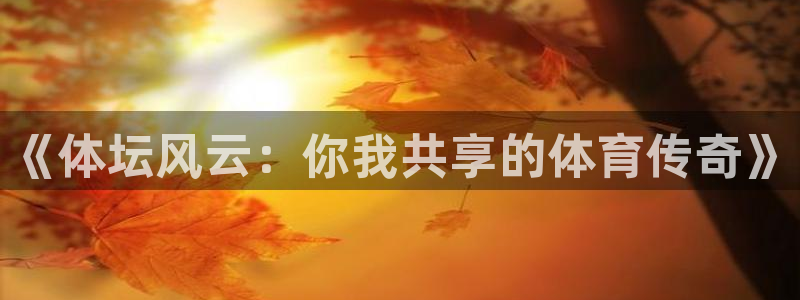 77体育