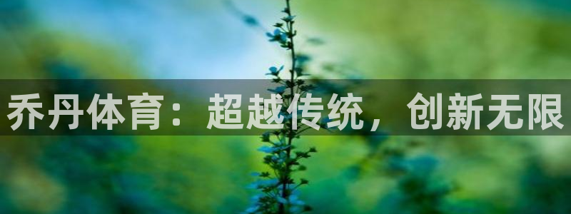 77体育app下载官网