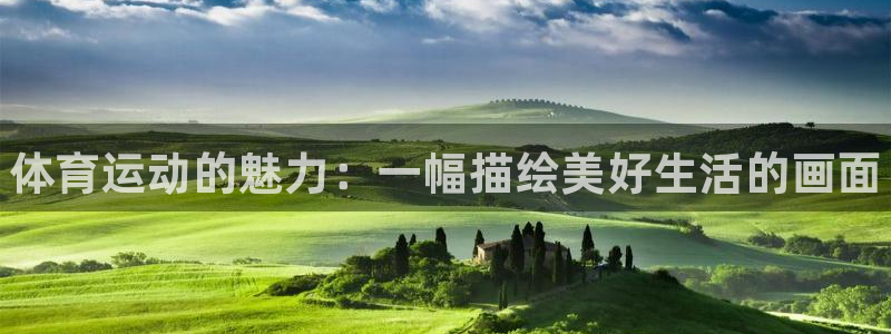 77体育app下载官网
